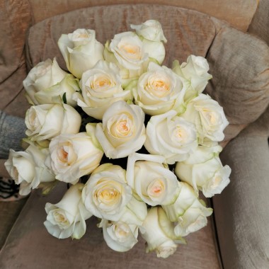 Rose crème