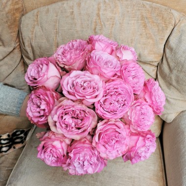 Rose  Mauve