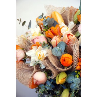 Le vitaminé