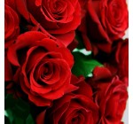Livraison Bouquets de roses