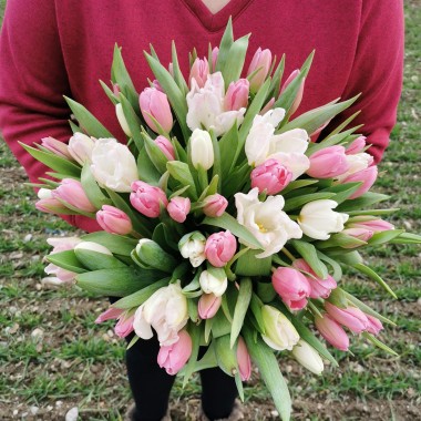 rose rouge fraiches pour les amoureux