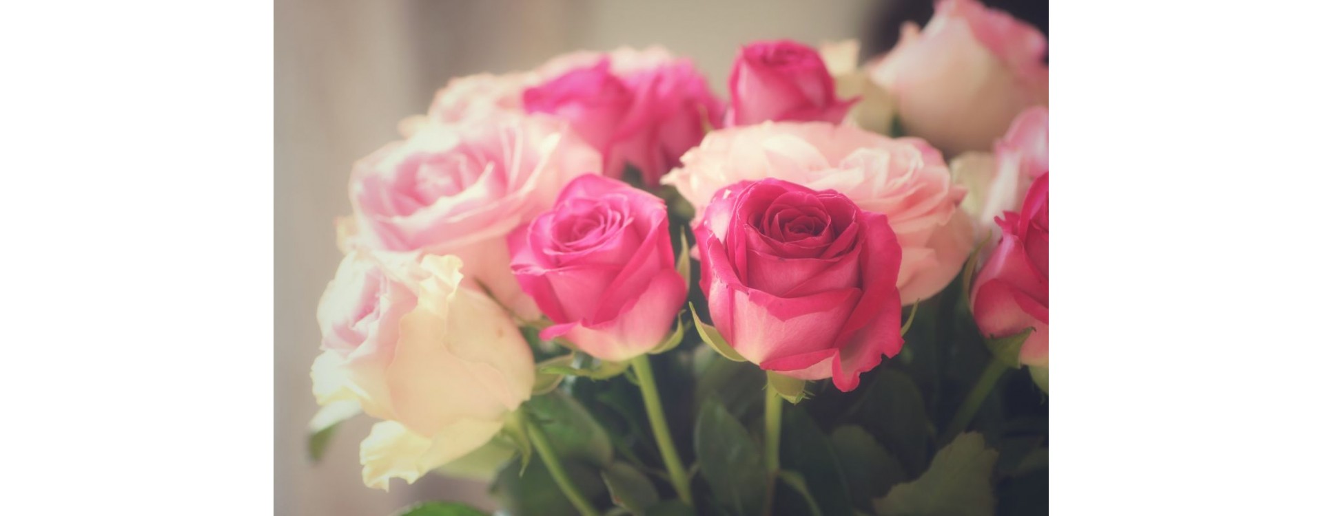 Bouquet of Roses: Origins and Popular Varieties Bouquet of Roses: Origins and Popular Varieties