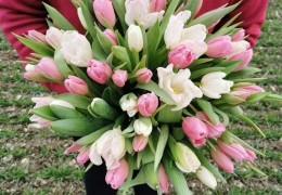 Die besten Blumen, die man zum Valentinstag verschenken kann