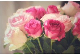 Bouquet de roses : origines et variétés populaires